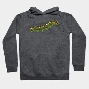 Striped Hark-moth caterpillar Hoodie